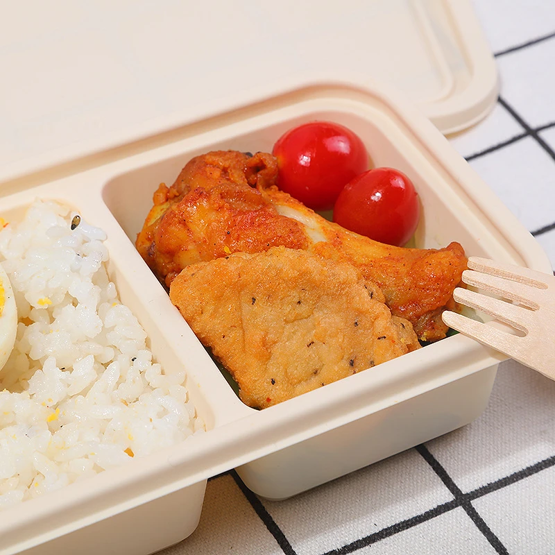 Scatola per il pranzo per hamb - Bento Box Two Tier recensione e prezzo